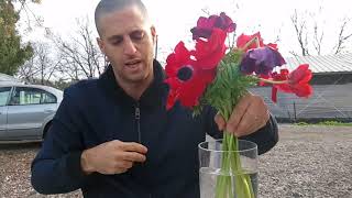 טיפול  בזר פרחים - איך שומרים על הפרחים באגרטל ומאריכים את חייהם?