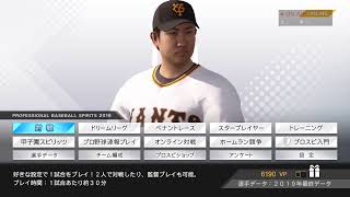 プロ野球スピリッツ2019 初試合！ / PS4 PRO ( SSD ) / 声なし /