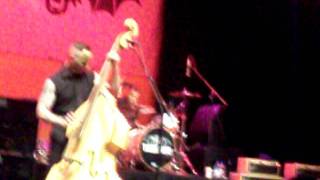 Tiger Army - Jungle Cat