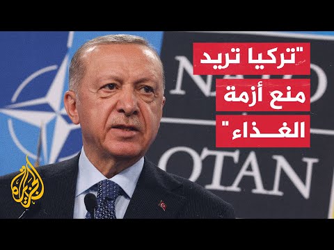 تعرف على آلية نقل الحبوب الأوكرانية التي ذكرها الرئيس التركي أردوغان