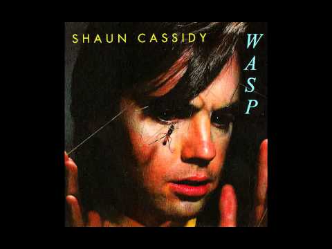 Shaun Cassidy - It's My Life (The Animals Cover)