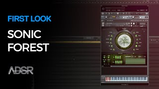 Video thumbnail for Sonic Forest Kontakt Instrument - First Look by ADSR Music Production Tutorials