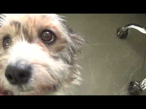 Kleine Kennlernrunde gedreht   😃