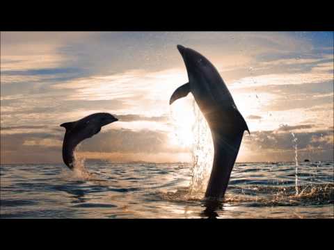 J-Kraken - Coast To Coast