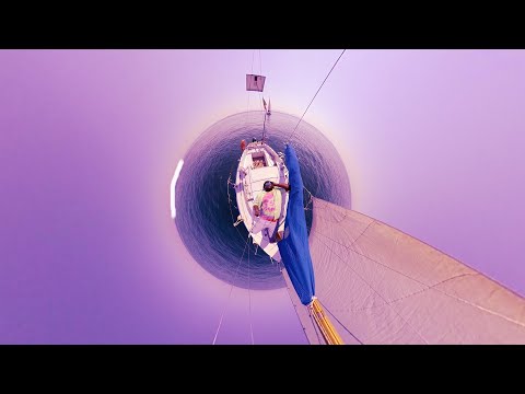 IROL - Bon Ton ft. Tommy Kuti (Official Video)