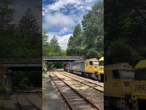 TRAINS AM22 Pacific National 4MP5 7 locos NR50 NR43 AN7 NR74 NR96 NR51 G538 Mt Lofty 10/11/2022