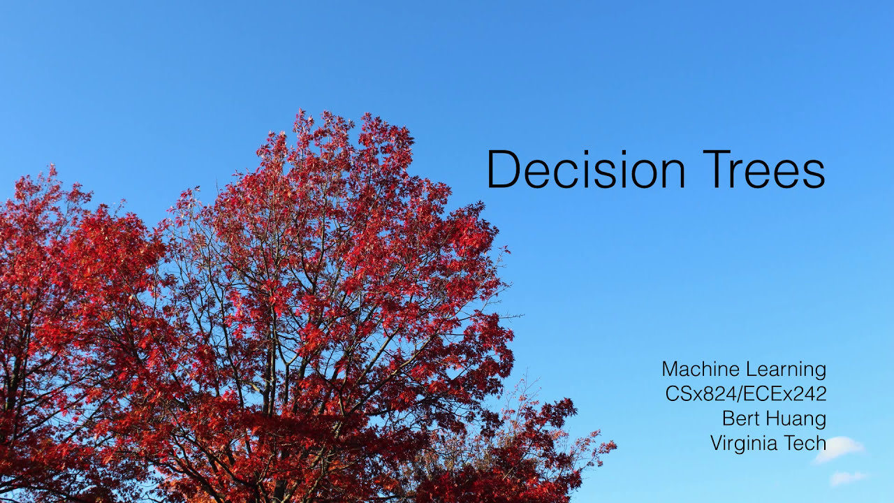 3 Decision Trees