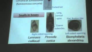 Dr Azza   Practical Parasitology   part 2   YouTube