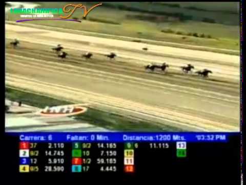 LA RINCONADA 6 CARRERA DOIMINGO 06 DEL JULIO DEL 2014