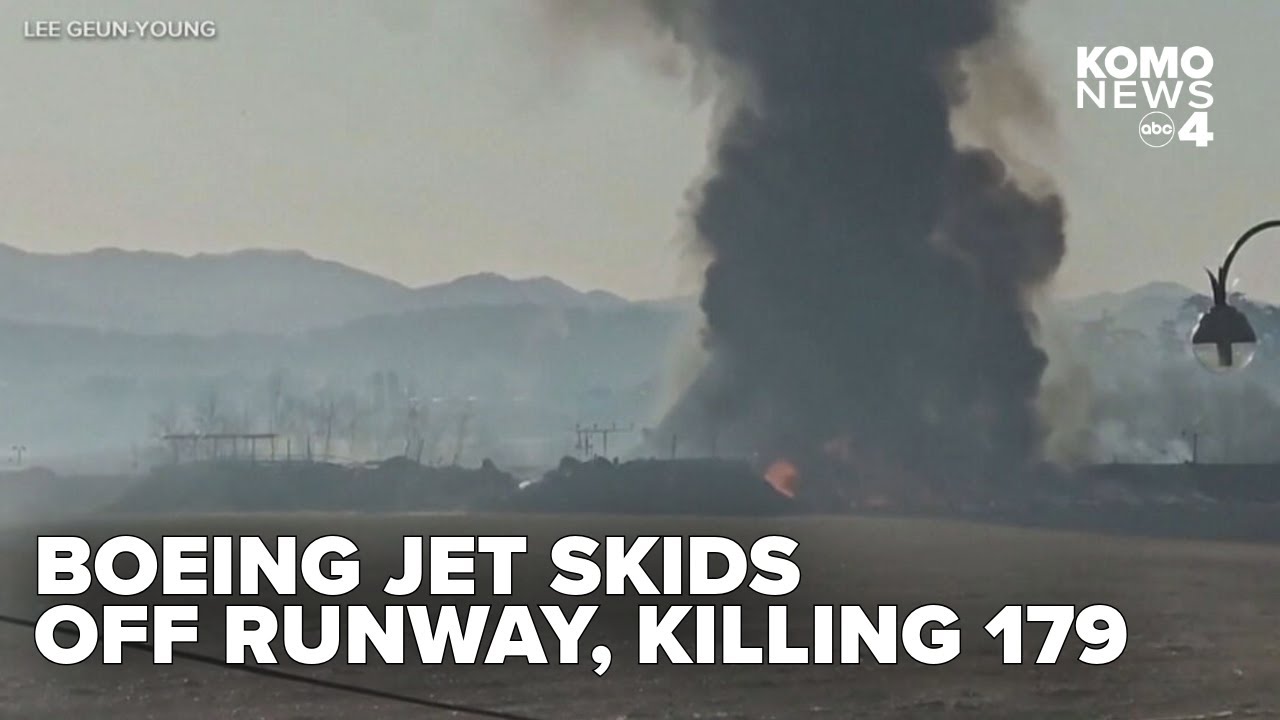 Jeju Air jetliner skids off runway and bursts into flames, killing 179