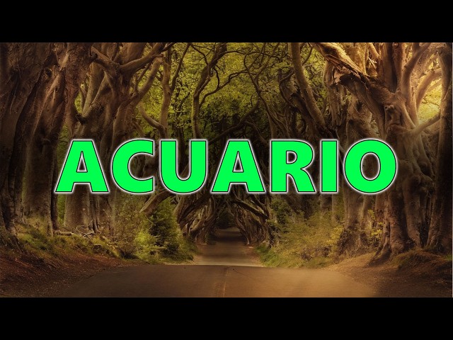 Vídeo relacionado con El Diario Mágico de Acuario: Afirmaciones Poderosas y Espacios para Conectar con tu Libertad, Creatividad y Energía Visionaria: Diario de Acuario para ... Manifestación y Escritura para Cada Signo)