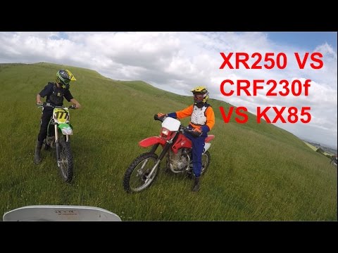 CRF230 VS KX85 VS XR250