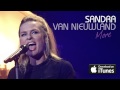Sandra van Nieuwland - More