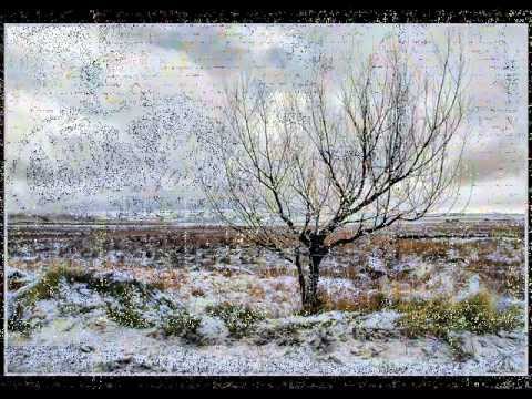 j.j.burnel - OZYMANDIAS