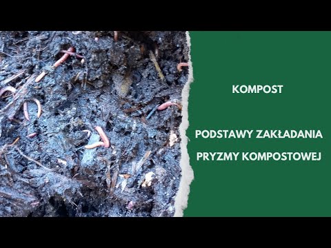 Złoto ogrodu - kompost | Jak zrobić? Czego użyć?