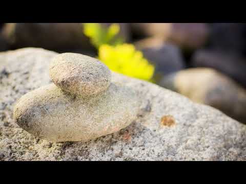 download lagu mp3 mp4 Mindfulness Harjoitus, download mp3 Mindfulness Harjoitus free download, download mp3 Mindfulness Harjoitus