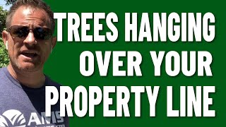 Are Neighbor’s Trees Hanging Over Your Property Line?