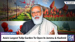 Asia's Largest Tulip Garden To Open In Jammu & Kashmir