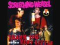 Screeching Weasel - I Hate Old Folks