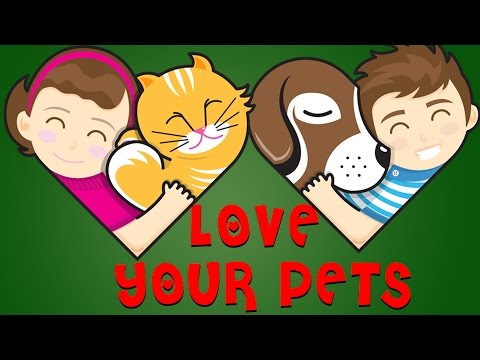 Love Your Pets Quiz