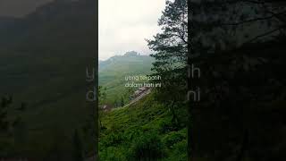 Download lagu status wa puncak bogor mp3 Download lagu status wa puncak bogor mp3