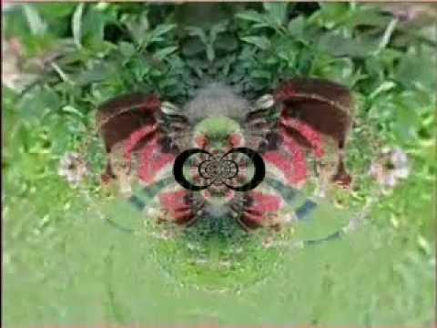 download lagu mp3 mp4 Anita Sarawak Misty, download lagu Anita Sarawak Misty gratis, unduh video klip Anita Sarawak Misty