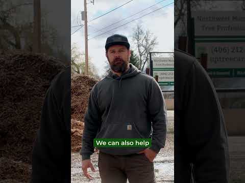 Instagram reel video 8 preview