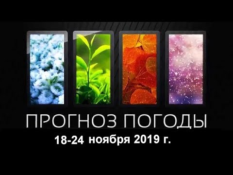 Погода. 18.11.19 - 24.11.19