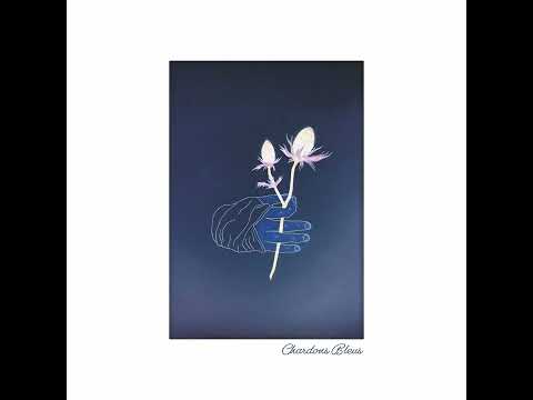 Lucio Bukowski & Mani Deïz - Dernier Jardin