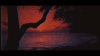 jealous sea - meg myers (slowed)