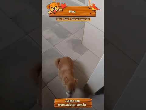 Vídeo de Nina