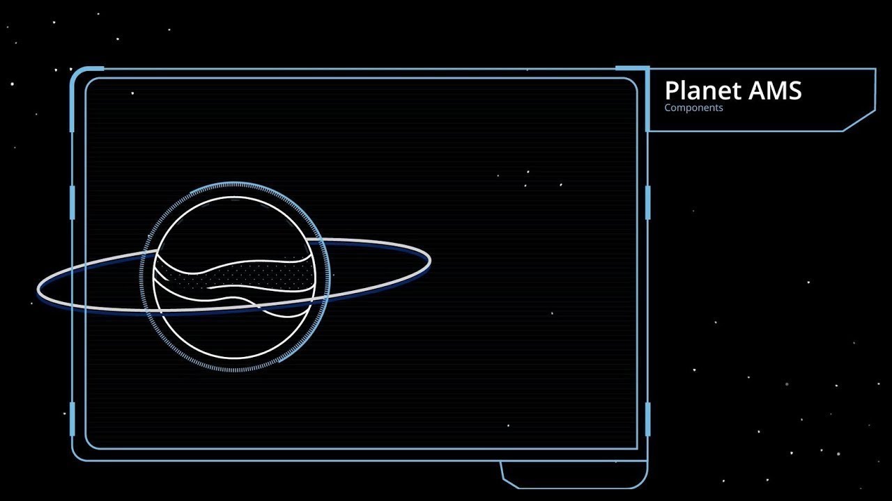Deloitte Application Management Services