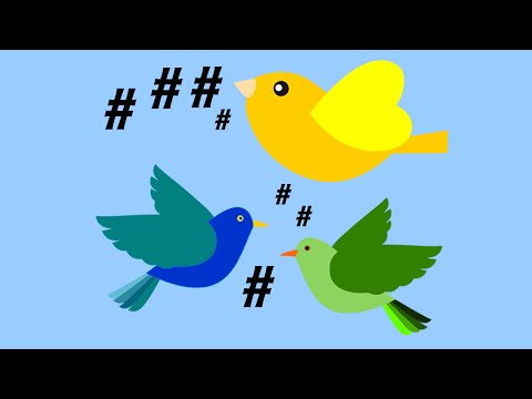 A Basic Understanding of Hashtags