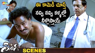 Venu Madhav Best Comedy Scene  Yogi Telugu Movie S