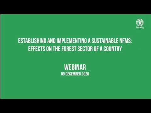 Establishing and implementing a sustainable NFMS: effects on the forest sector of a country