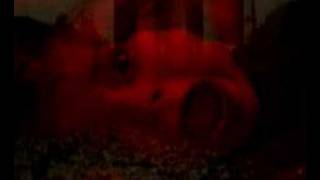 Bethlehem - Suicide Radio