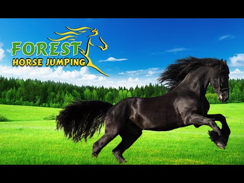 Forest Horse Jumping Video