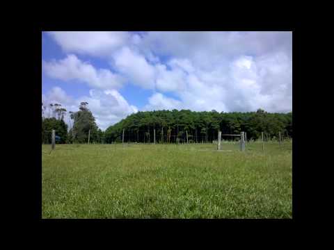 Time Lapse Motorola Milestone