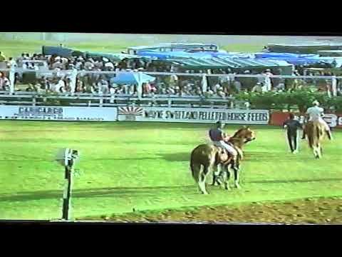 Royal Pleasure-Anthony Husbands 