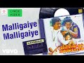 Periya Veetu Pannakkaran Malligaiye Malligaiye Lyric Karthik Kanaga Ilaiyaraaja