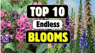 10 Flowering SHADE-LOVING Perennials EVERY Garden Needs | Easy and Long-Lasting!