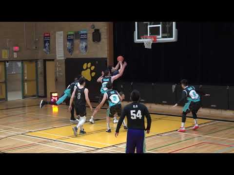 Aces vs Shots Fired | Sat tier 4 playoffs - tcbl 2020 winter