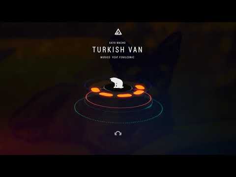 Gato Macho - Turkish Van ( Musico Feat. Fenilconic ) | Original Mix