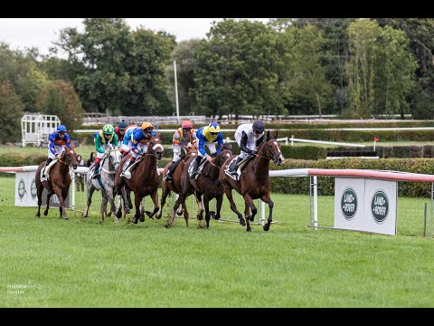 Pferderennen Zürich-Dielsdorf