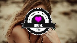 The Aston Shuffle - Tear It Down (GAMPER &amp; DADONI Remix)