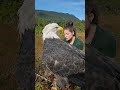 Meet Sitka Our Largest Bald Eagle Ambassador  BaldEagleAmbassador WildlifeEducation Backstory