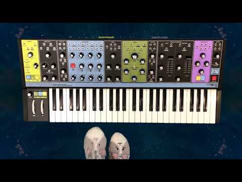 Moog Matriarch: unboxing and sonic explorations, asmr