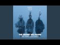 The Secret We Found (Tamir Regev Remix)