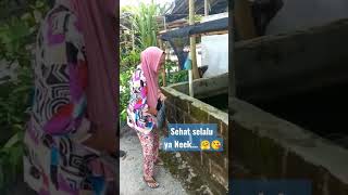 Download lagu Nenek Ku Okem🤗#shorts mp3