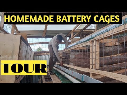 HOMEMADE CHICKEN BATTERY CAGES TOUR(Construction Completed)